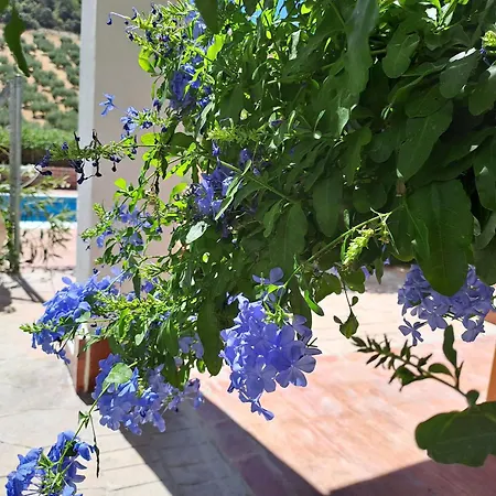Holiday home Cortijo Berruguilla *
